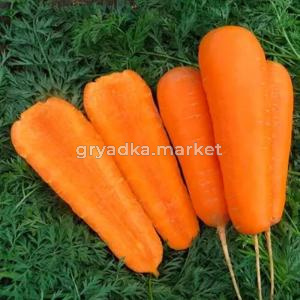 Морковь Боливар F1 0,5 гр (Престиж)