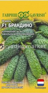 Огурец Брандино F1 5шт Парт Ранн (Гавриш) Голландия 