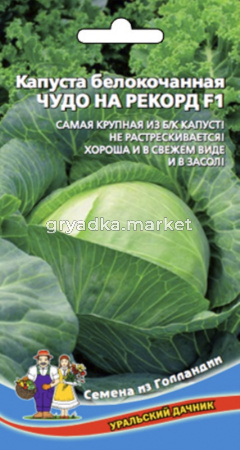 Капуста б-к Чудо на Рекорд F1 (УД) ЧСС -позднеспел.,крупнокачан.,до15кг.-