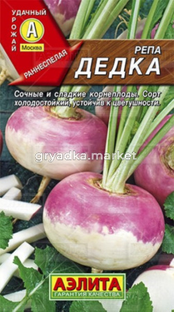 Репа Дедка (Аэлита)