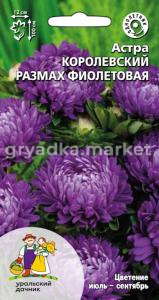 Астра Королевский размах фиолетовая 0,2г Одн 100см (УД)