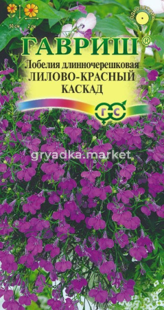 Лобелия Лилово-красный Каскад ампельная 0,01г Одн 50см (Гавриш)
