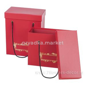 Набор подарочных коробок, 26x21xH12 см, 24x19xH10 см, (2 шт)