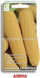 Кукуруза Алина сахарная 5г (Поиск)