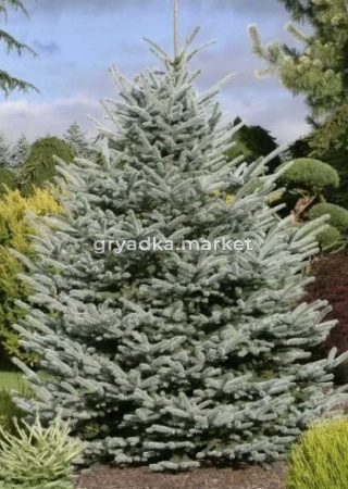 Скриншот 21-04-2026 150925