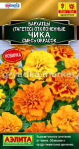 Бархатцы Чика отклоненные, смесь окрасок (Аэлита)