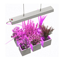 Уход за растениями, фитолампы Уход за растениями, фитолампы