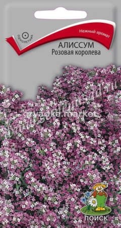 Алиссум Розовая королева 0,3г. Поиск