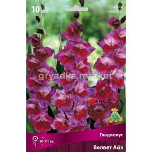 Гладиолус Велвет Айз (желтый с красно-малиновым пятном,гофрированный, 80-110см, 10шт, 10-12)