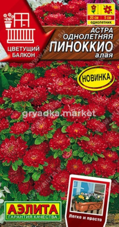 Астра Пиноккио алая 0,05г Одн 20см (Аэлита)