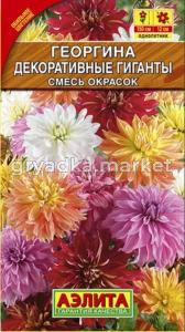 Георгина Декоративные гиганты, смесь Аэлита