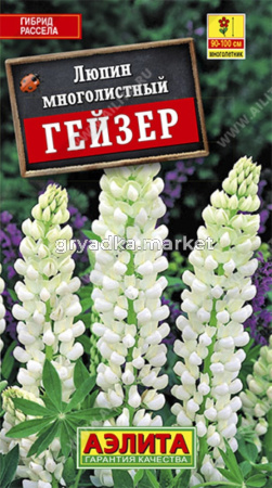 Люпин Гейзер (Аэлита)