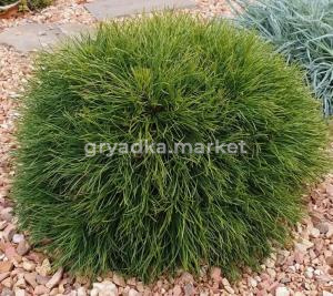 Скриншот 21-04-2026 105208