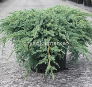 Скриншот 15-04-2026 152537