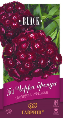 Гвоздика Черри бренди F1 турецкая 5шт Дв 90см (Гавриш) Блэк