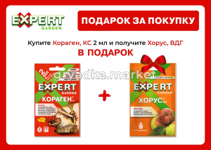 Плакат а4 подарок за покупку копия (1) (1)