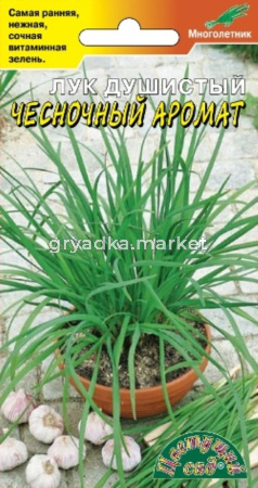 Лук Чесночный аромат 0,3г (Цвет сад)
