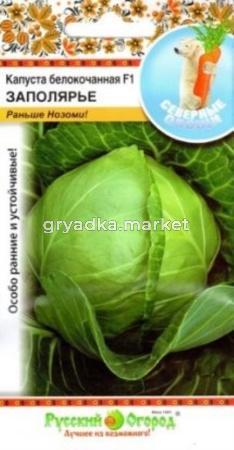 Капуста б-к Заполярье F1 50шт-ранн- НК