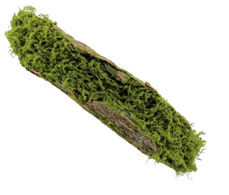 Кора со мхом 