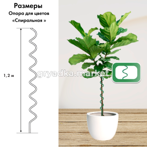 127154 3КТ БУБи 01