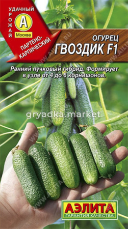 Огурец Гвоздик F1 10шт корнишон Парт Ранн (Аэлита)