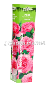 Скриншот 27-03-2025 155455-Photoroom