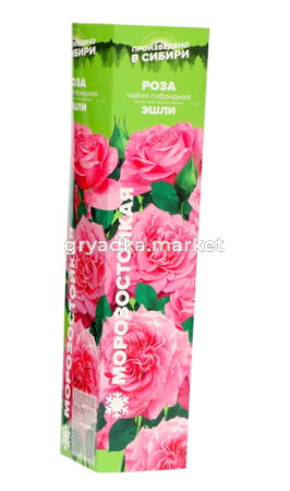 Скриншот 27-03-2025 155455-Photoroom