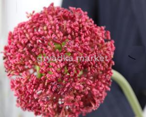 Искусственные цветы Лук декоративный в ассотр.