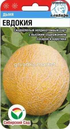 Дыня Евдокия 7шт (Сиб сад)