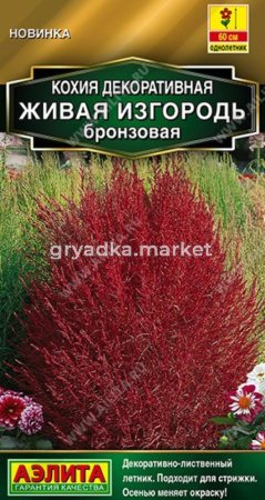 Кохия Живая изгородь бронзовая 0,1г Одн 60см (Аэлита)