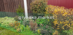 Сетка-решетка 20х20мм, 1х20м зелен. Садовая 