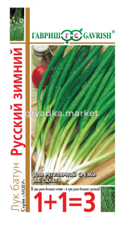 Лук батун Русский зимний 1+1-2,0г Гавриш Н11