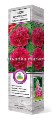 Пион древовидный Король Цветов 1шт (цветок красно-черный)