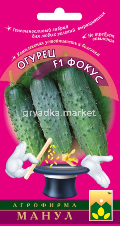Огурец Фокус F1,Парт,теневынос, Манул