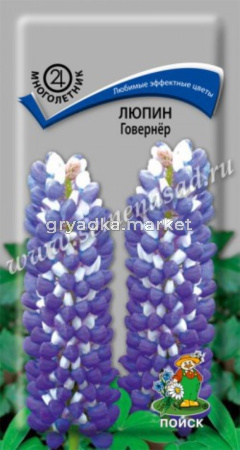 Люпин Говернёр (ЦВ) (