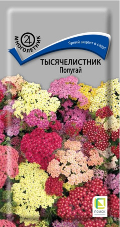 Тысячелистник Попугай (ЦВ) (