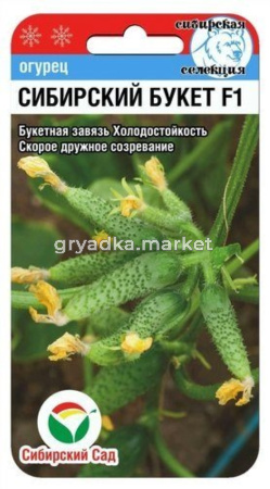 Огурец Сибирский букет F1 7шт (Сиб Сад)