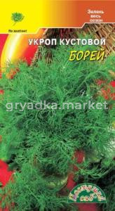 Укроп Борей кустовой ц-п Цвет сад
