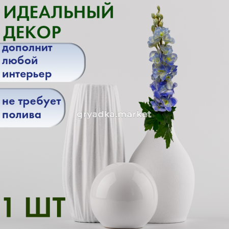 ДЕЛЬФИНИУМ2