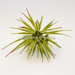 Исскуственные цветы суккулент h20см 9165-53