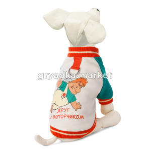 Толстовка р-р М Друг с моторчиком спинка 30см 1/1/Амма