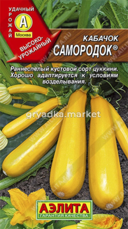 Кабачок цукини Самородок Аэлита