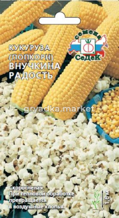 Кукуруза Внучкина Радость (поп-корн) (Седек)