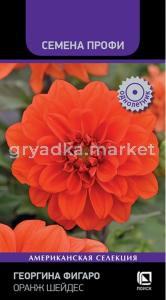 Георгина Фигаро Оранж Шейдес 10шт Одн 35см (Поиск) Семена Профи