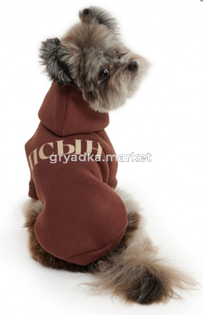 Толстовка р-р L спинка 29см LPK-0427/Lion