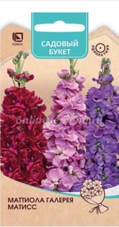 Левкой (маттиола) Галерея матисс 0,05гр Одн 70см (Поиск) Садовый букет
