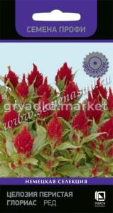 Целозия Глориас Ред перистая 10шт Одн 25см (Поиск) Семена Профи
