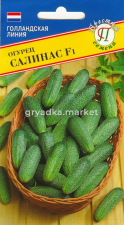 Огурец Салинас F1 10шт. Престиж
