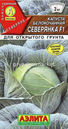 Капуста б-к Северянка F1 0,1г Позд (Аэлита) 