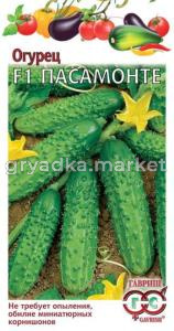 Огурец Пасамонте F1 0,3г.(Голландия) Гавриш